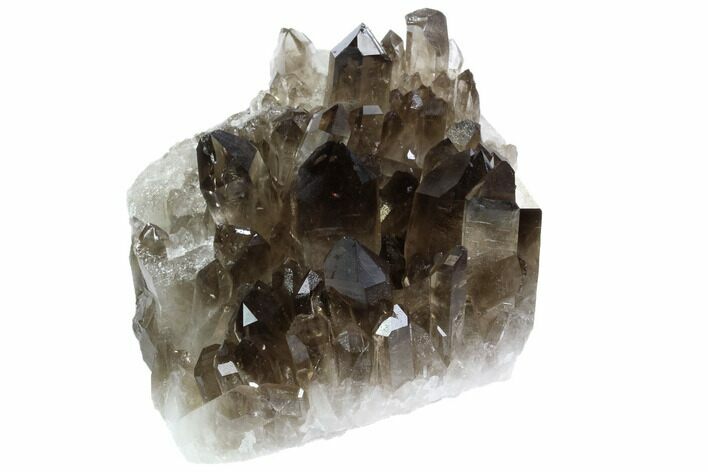Dark Smoky Quartz Crystal Cluster - Brazil #84310